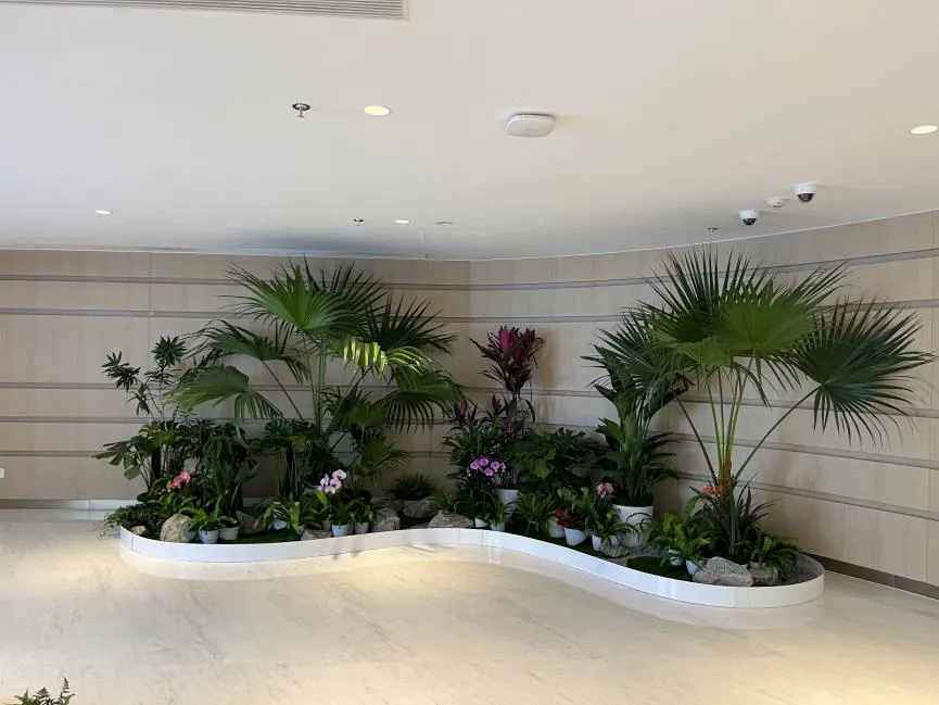 宁波江北绿植出租